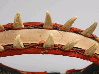 男子獸牙頭環藏品圖，第12張